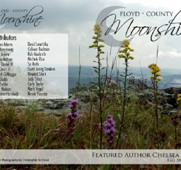 Issue11-1