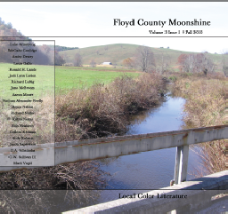 Issue11-1