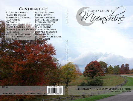 Issue11-1